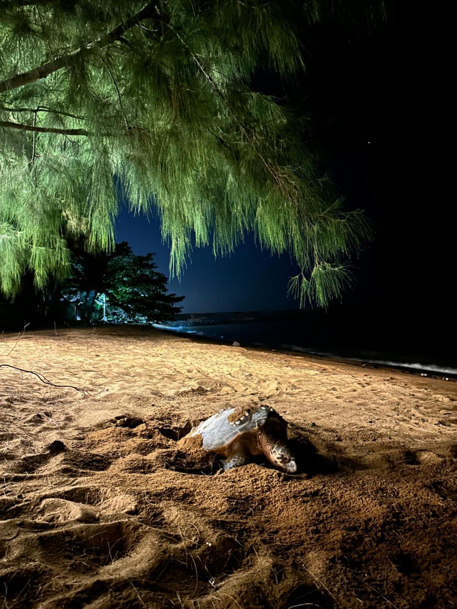 Beach N Breeze Glamping Malacca Εξωτερικό φωτογραφία